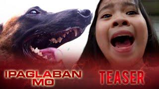 Rabies August 5, 2017 | Ipaglaban Mo Teaser