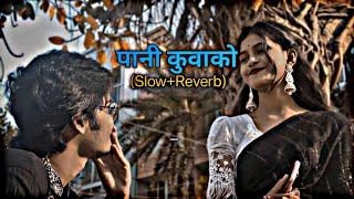 Pani Kuwako New Nepali Romantic Song - [Slow+Reverb] -Ft.Bimal & Garima - lofi