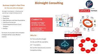 Bizinsight Consulting Sales Brocher 2017...