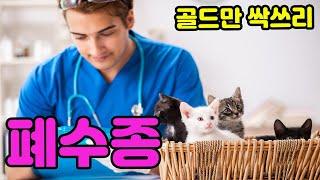 폐수종