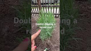Double digging a raised bed for new crops #permaculture #ediblegardening #garden