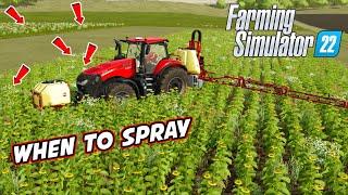 FS22 When To Spray Herbicide | Farming Simulator 22