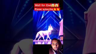 America's Got Talent Unicorn/Horse  magic | Duo Schumacher#AGT#americagottalent#magic #funny