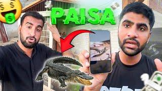 Paisa  ft. SABTAIN KAMRAN | sher mein dehat |