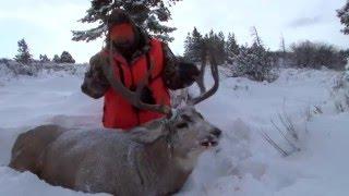 Giant 200" Colorado Mule Deer - Extreme Outer Limits TV