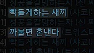 배치에서 만난 개무서운 듀오