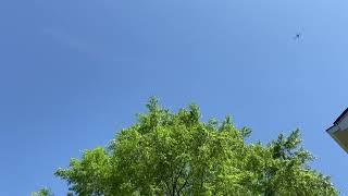 Clear Sunny Carolina Blue Sky, Birds Chirping, Nature Sounds, Bird Sounds | 3 hours ASMR White Noise