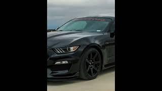 Rate this Mustang edit one out of 10