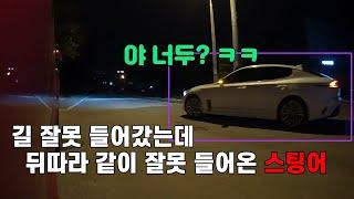 길 잘못 들었는데, 뒤따라 같이 잘못 들어온 스팅어