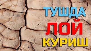 Туш табири - Тушда Лой куриш