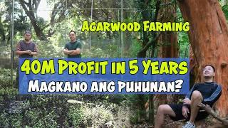 40 Million Profit /Hectare in 5 Years, Agarwood Farming