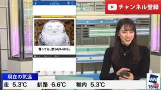 【武藤彩芽】放送事故おもしろ画像が流れる ウェザーニュース お天気