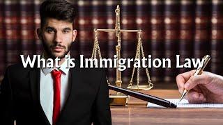 What Is Immigration Law