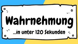 Menschliche Wahrnehmung in Pädagogik und Psychologie in unter 120 Sekunden erklärt | ERZIEHERKANAL