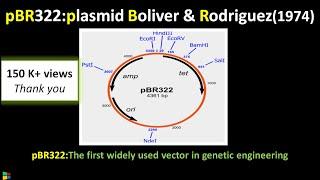 pBR322 Gene Cloning Vector Explained | Biotechnology @biologyexams4u