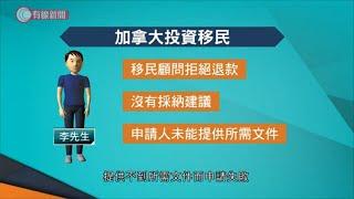 移民「不成功不收費」？消委會：申請失敗不一定有錢退 - 20200115 - 香港新聞 - 有線新聞 CABLE News