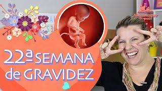 22nd WEEK OF PREGNANCY | Video of Fetus, Baby Name, Belly Size | 2nd QUARTER OF PREGNANCY