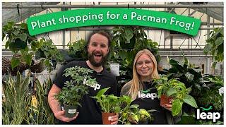 Leap goes plant shopping for a Pacman Frog habitat!