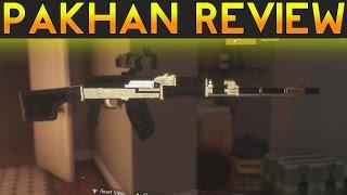 The Division - Pakhan High End Gold Light Machine Gun Full Review In Depth
