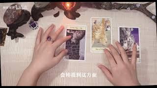 【不看吃亏】【Vivien塔罗】 你一年以后的剧本最全版 【Vivien塔罗】 你一年以后的剧本最全版？合作大师@YXTL68isWeChat