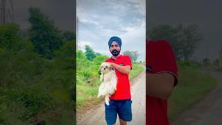 Jatt Prabhjot bai aap ke coco ka bai mil gya  #jattprabhjot #coco #youtubeshorts #shorts #mandeep