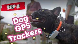 Top 5 Dog GPS Trackers for 2024