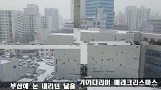 부산에 눈내리던 날을 기다리며 #부산 #눈 #snow #busan #메리크리스마스 #merrychristmas