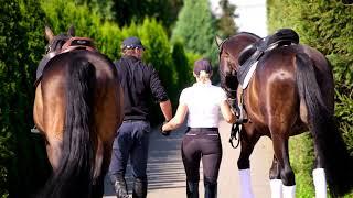 Equestrian insights: a day at the stables with Anna and Jacek Mierzwińscy