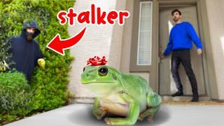 MY STALKER Sent Me A FROG *CAUGHT ON CAMERA*