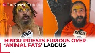 Tirupati Laddu Row: Hindu Priests furious over ‘animal fats’ laddus in Ram Mandir 'Prasad...'