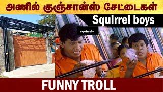 Squirrel boys சேட்டைகள் - Funny Troll #TVK | #Vijay | #Actorvijay | #Troll | #politalks | #caa