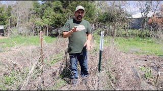 NEVER pull a Garden Weed AGAIN!  This ONE THING makes it possible!