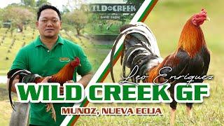 FARM VISIT @ WILD CREEK GF of LEO ENRIQUEZ (Golden Boy Sweaters)