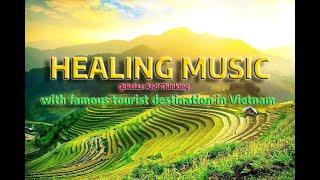 Tranquil Harmonies: Soothing Music for Healing and Relaxation 4K #healing