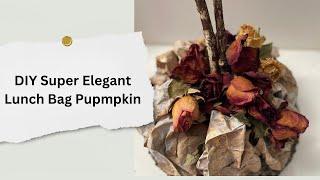 DIY Super Elegant Lunch Bag Pumpkin : Step-by-Step Tutorial