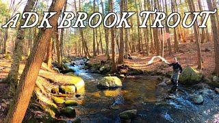 ADK Brook Trout Fly Fishing With A STICK | Survival Style