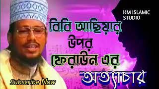 বিবি আছিয়ার উপর ফেরাউন এর অত্যাচার || Abu Sufian Al Qadri 2024