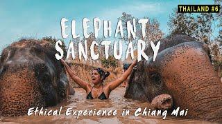 Elephant Sanctuary Tour - Chiang Mai | Ethical experience | Thailand Series