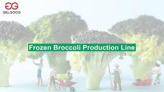 Broccoli Freezing Production Line #freezer #IQF