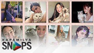 Meet the famous celebrities who are certified cat lovers | Kapamilya Snaps