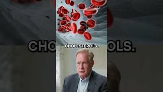 What Actually Causes High Cholesterol? | Dr. Robert Lustig