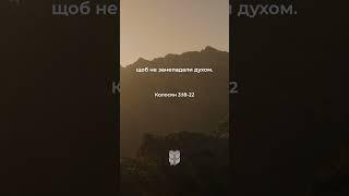 Колосян 3:18-22 #біблія #biblevision