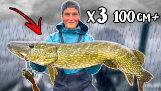 MYTH-BUSTING: Will It Bite Better In The Rain?! (CRAZY FISHING) | Team Galant