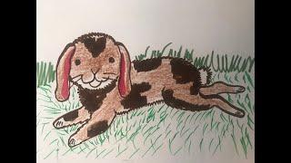 Kindergarten Art Lesson---  Rabbit Drawing