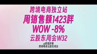 单周1.2W，周日零蛋，整体不及上周|跨境电商独立站真实个卖驴嫂云股东周会W32(0731-0806)