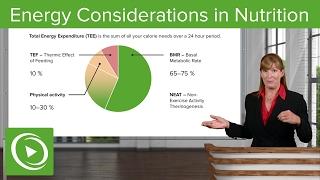 Energy Considerations in Nutrition: BMR, RMR & Physical Activity – Nutrition | Lecturio