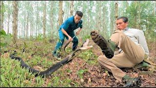 Suffocation. The moment two brave hunters confront the world's most ferocious king cobra.