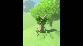 Korok Hidden Behind Rock & Every Spot - Legend Zelda Tears of the Kingdom