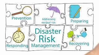 Integrated Approach to Disaster Risk Management:Prevent, Residual risk Prepare, Respond, Recover