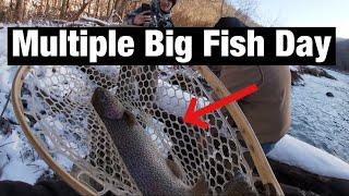 So many GIANT Trout in this Crystal Clear West Virginia River! (West Virginia Trout Fishing)